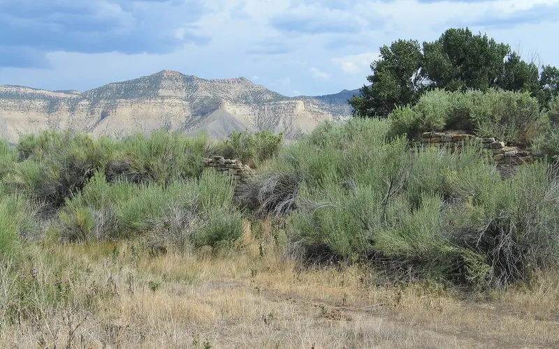 Masonry walls seen through shrubbery